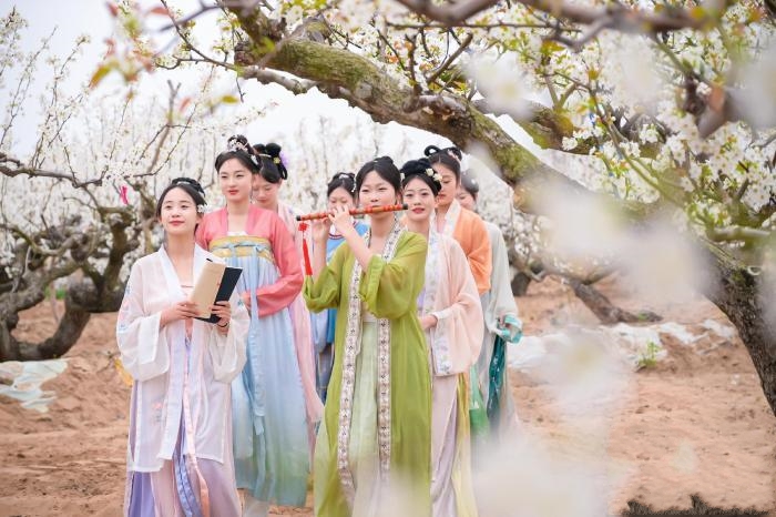 ɽ�|�R��f���滨������ �������b�Έ@